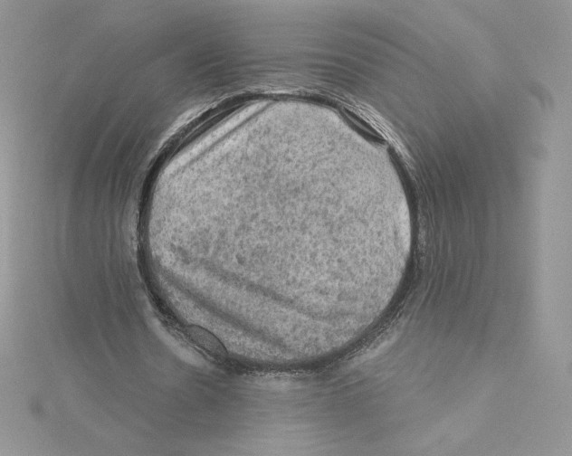 X0000114650530200911171052