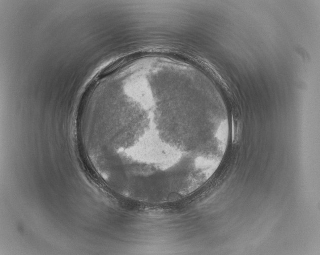 X0000114650531200911171052