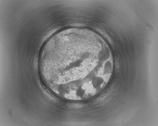 X0000114650533200911171052