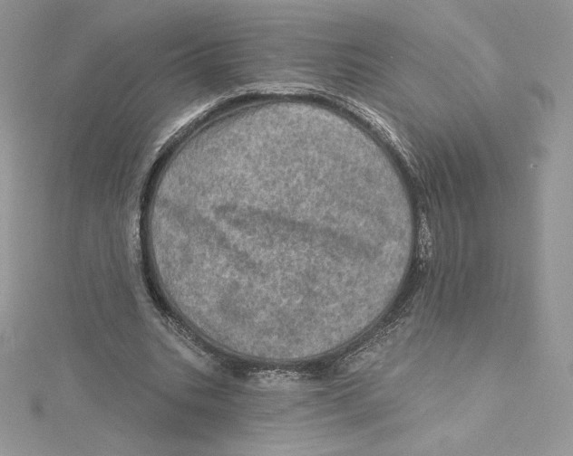 X0000114650535200911171052