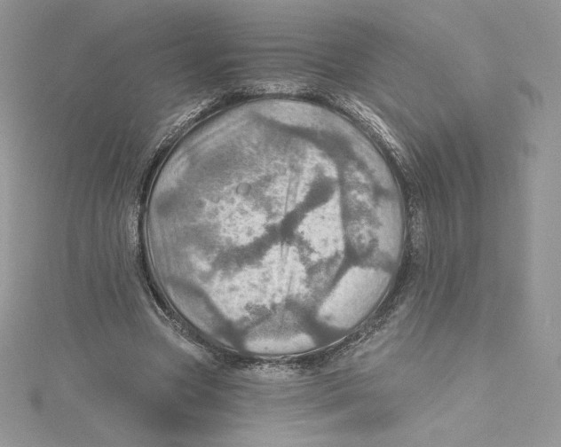 X0000114650537200911171052