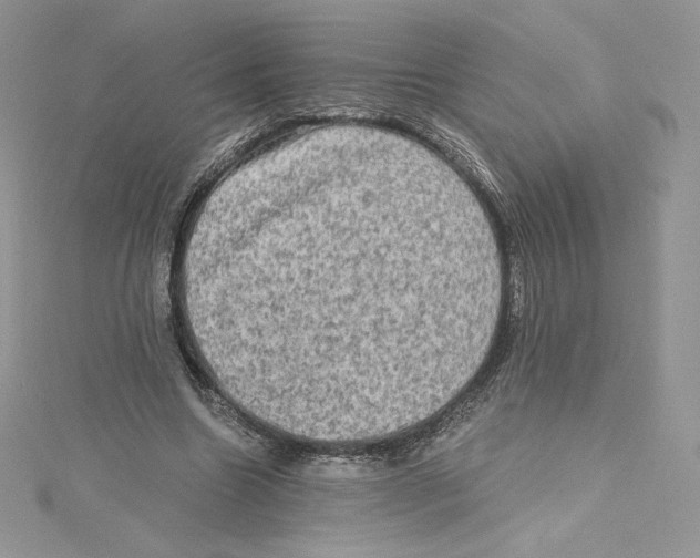 X0000114650538200911171052