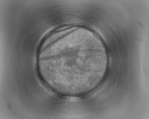 X0000114650539200911171052