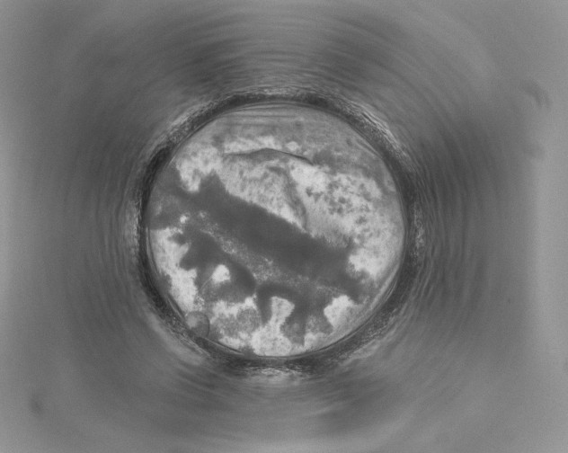 X0000114650542200911171052