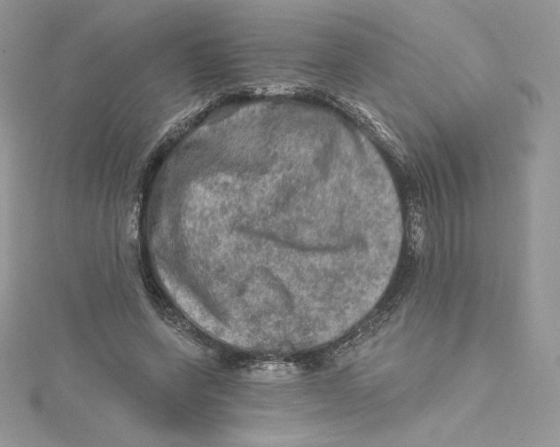 X0000114650543200911171052