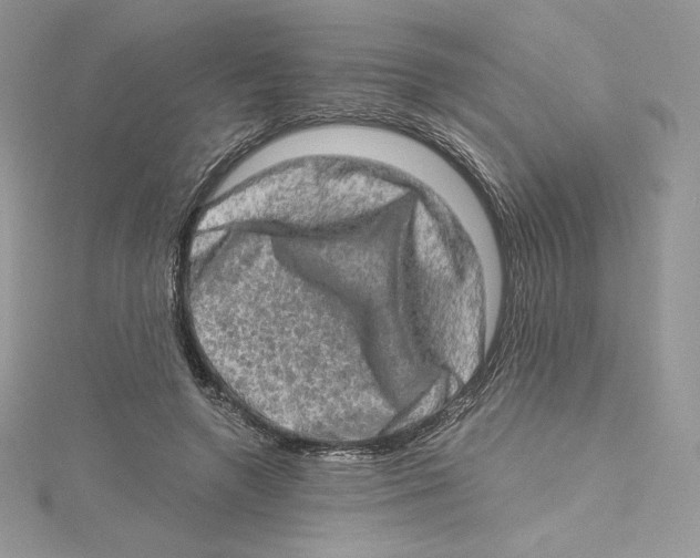 X0000114650546200911171052