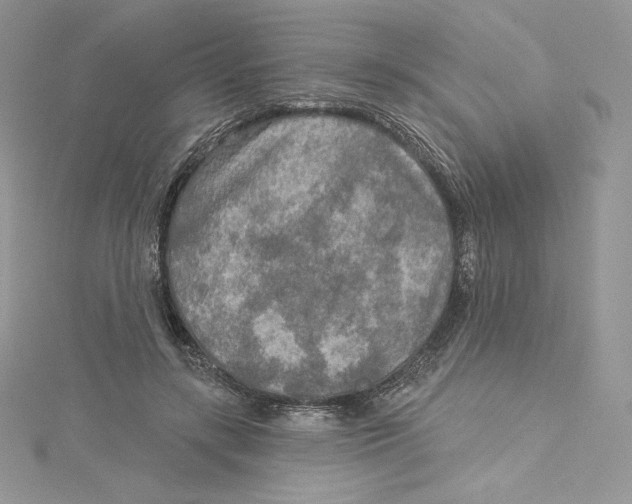 X0000114650547200911171052