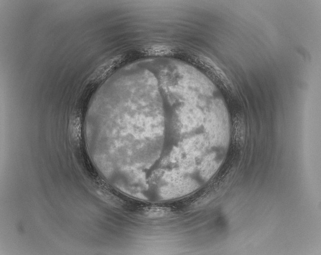 X0000114650549200911171052