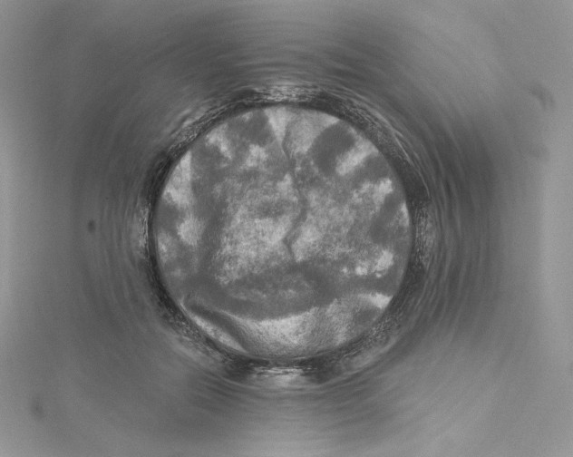 X0000114650554200911171052