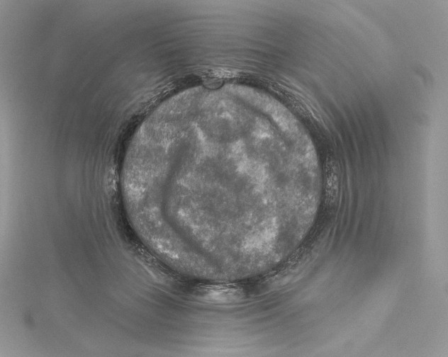 X0000114650555200911171052