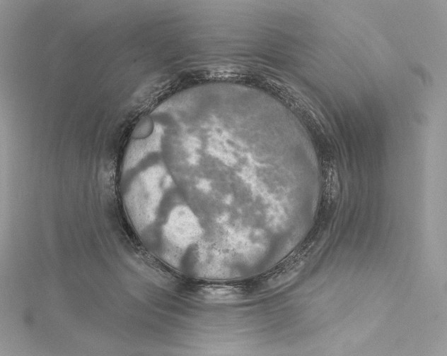 X0000114650557200911171052