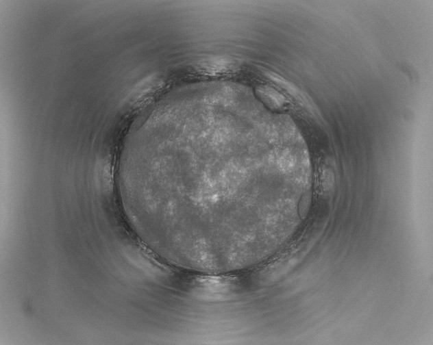 X0000114650558200911171052