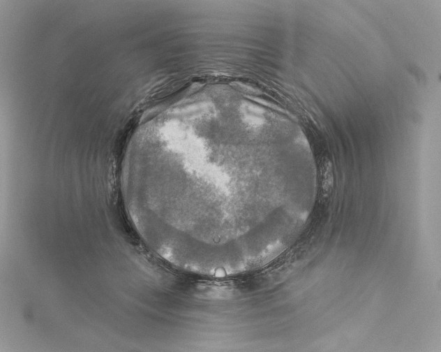 X0000114650559200911171052