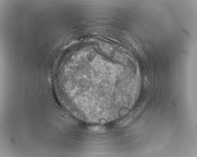 X0000114650561200911171052