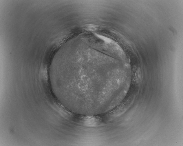 X0000114650562200911171052