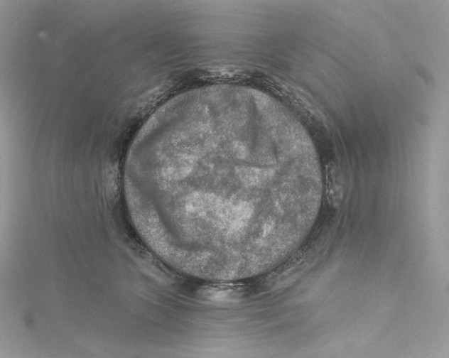 X0000114650563200911171052