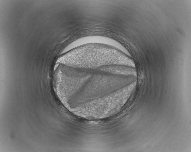 X0000114650566200911171052