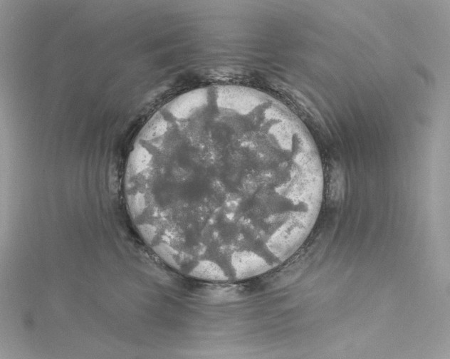 X0000114650569200911171052