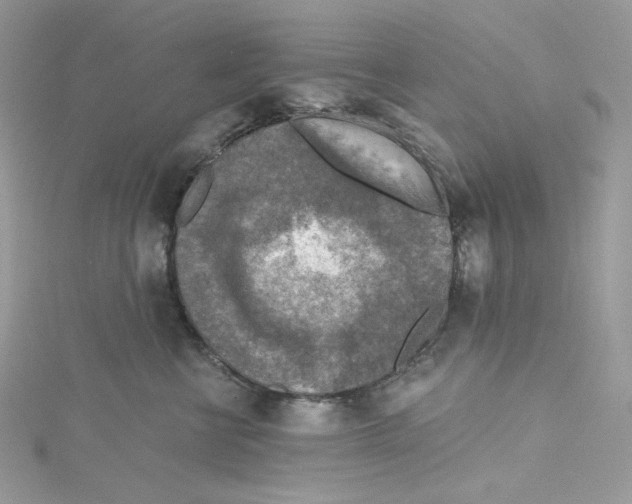 X0000114650570200911171053