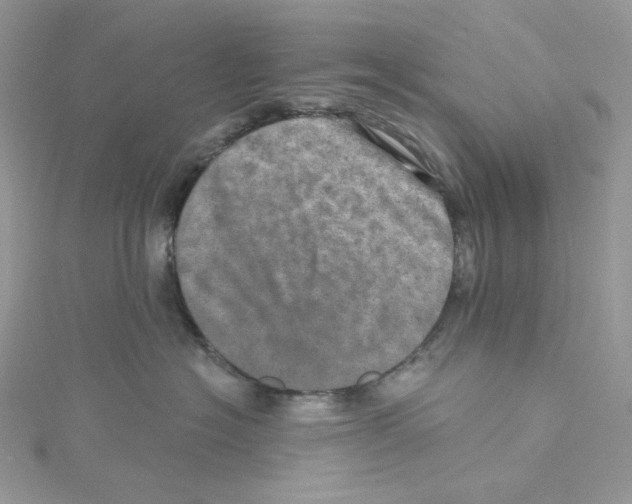 X0000114650574200911171053