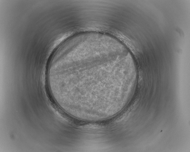 X0000114650578200911171052