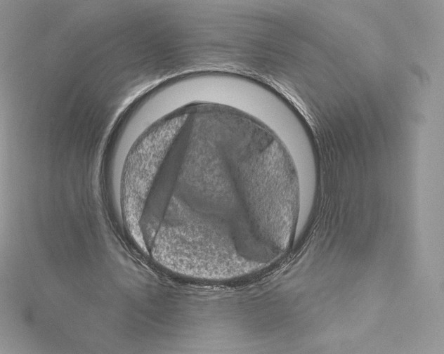 X0000114650579200911171052