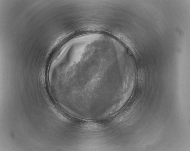 X0000114650581200911171052