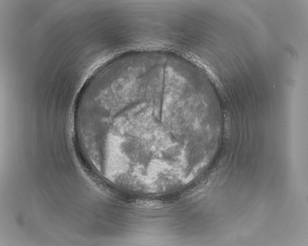 X0000114650582200911171052