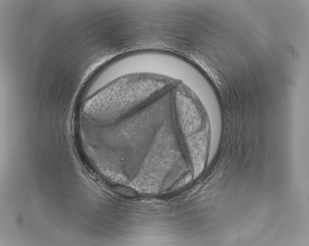 X0000114650583200911171052