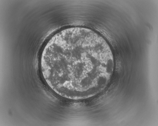 X0000114650584200911171052