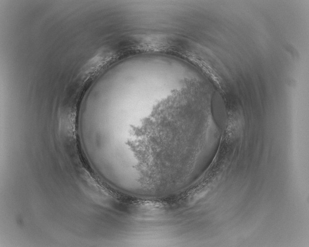 X0000114650585200911171052