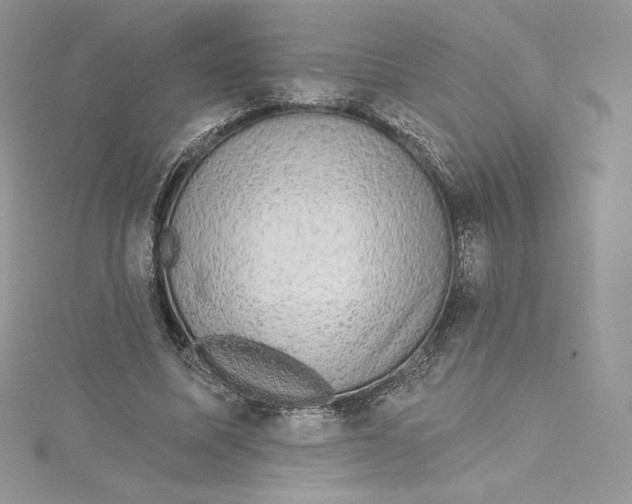 X0000114650587200911171052