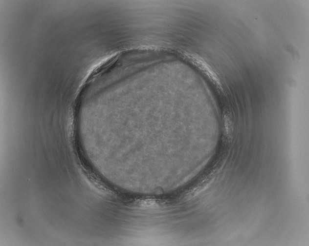 X0000114650588200911171052