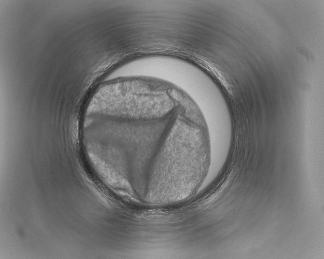 X0000114650589200911171052