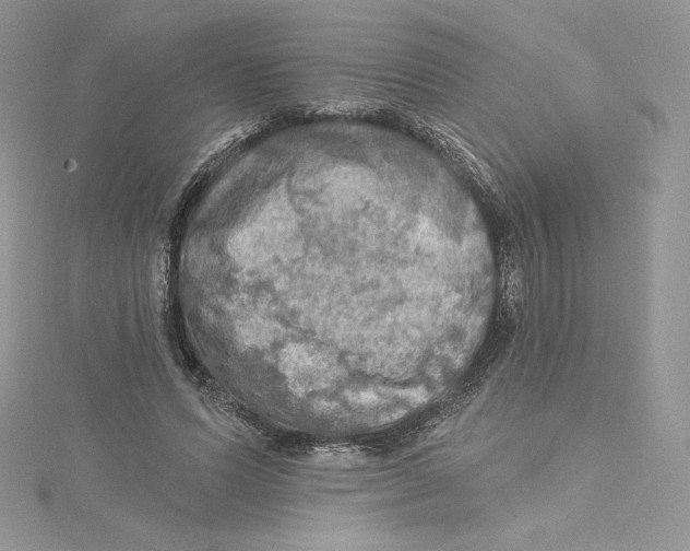 X0000114650591200911171052