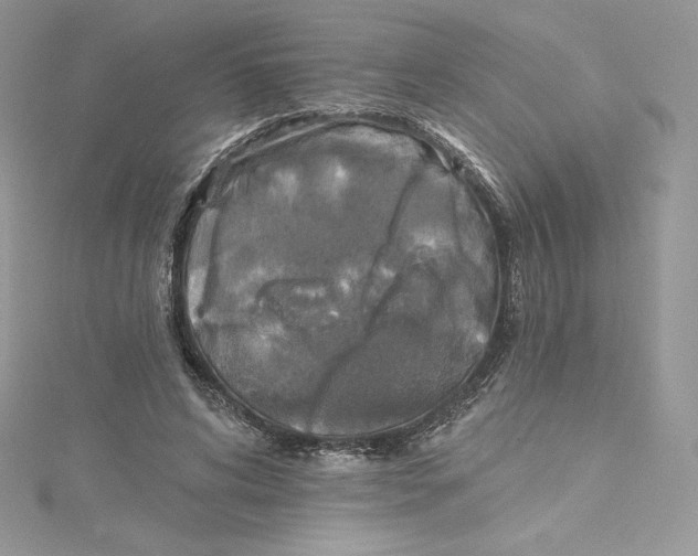 X0000114650592200911171052