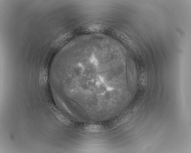 X0000114650593200911171052