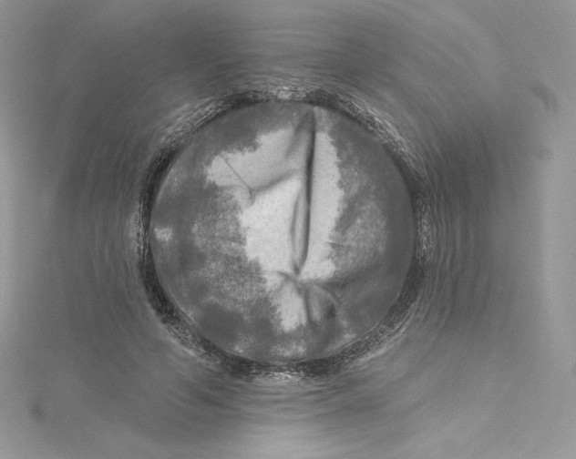 X0000114650594200911171052