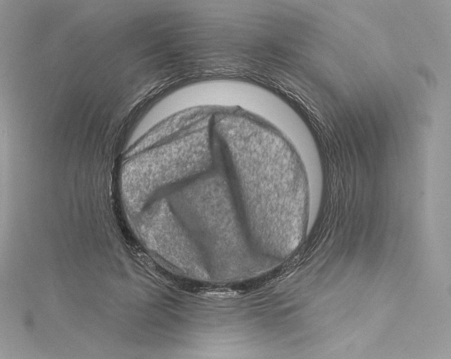 X0000114650595200911171052