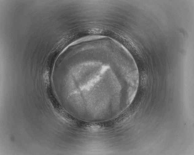 X0000114650598200911171052