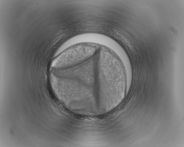 X0000114650599200911171052