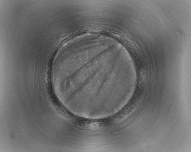 X0000114650600200911171052