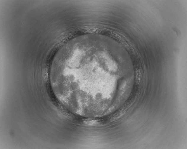 X0000114650602200911171052