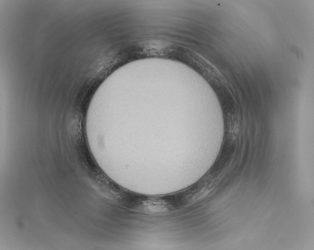 X0000114650603200911171052