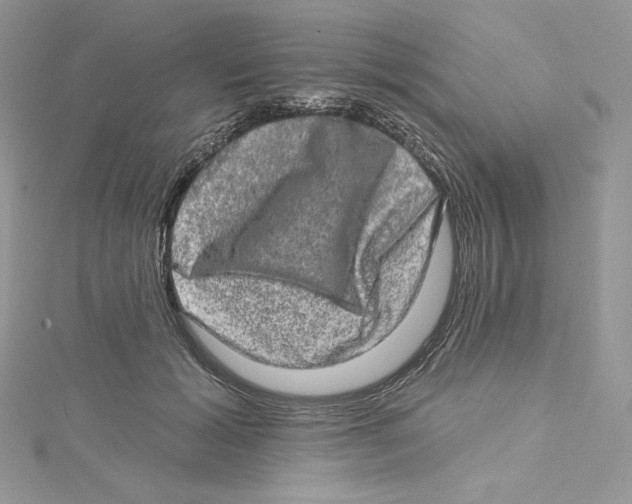 X0000114650605200911171052