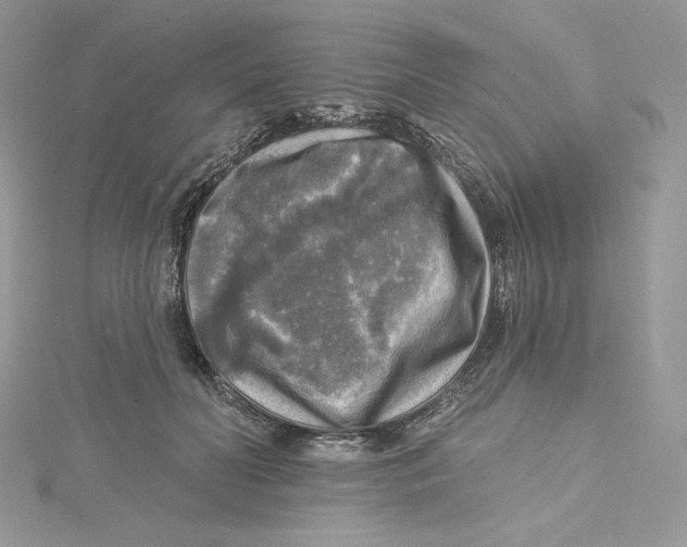 X0000114650606200911171052