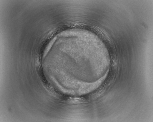 X0000114650607200911171052