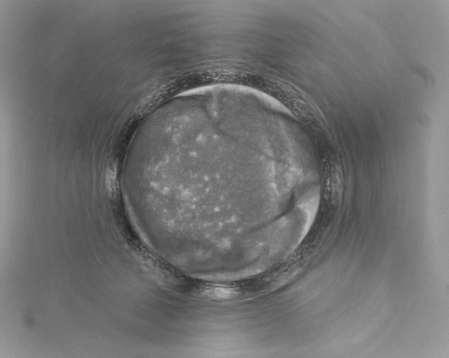 X0000114650610200911171052