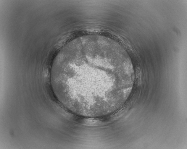 X0000114650614200911171051