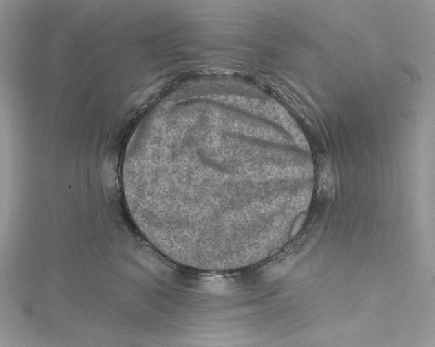 X0000114650616200911171051